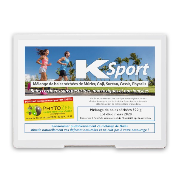 PROTEIN SPORT WHEY 500 G CACAO